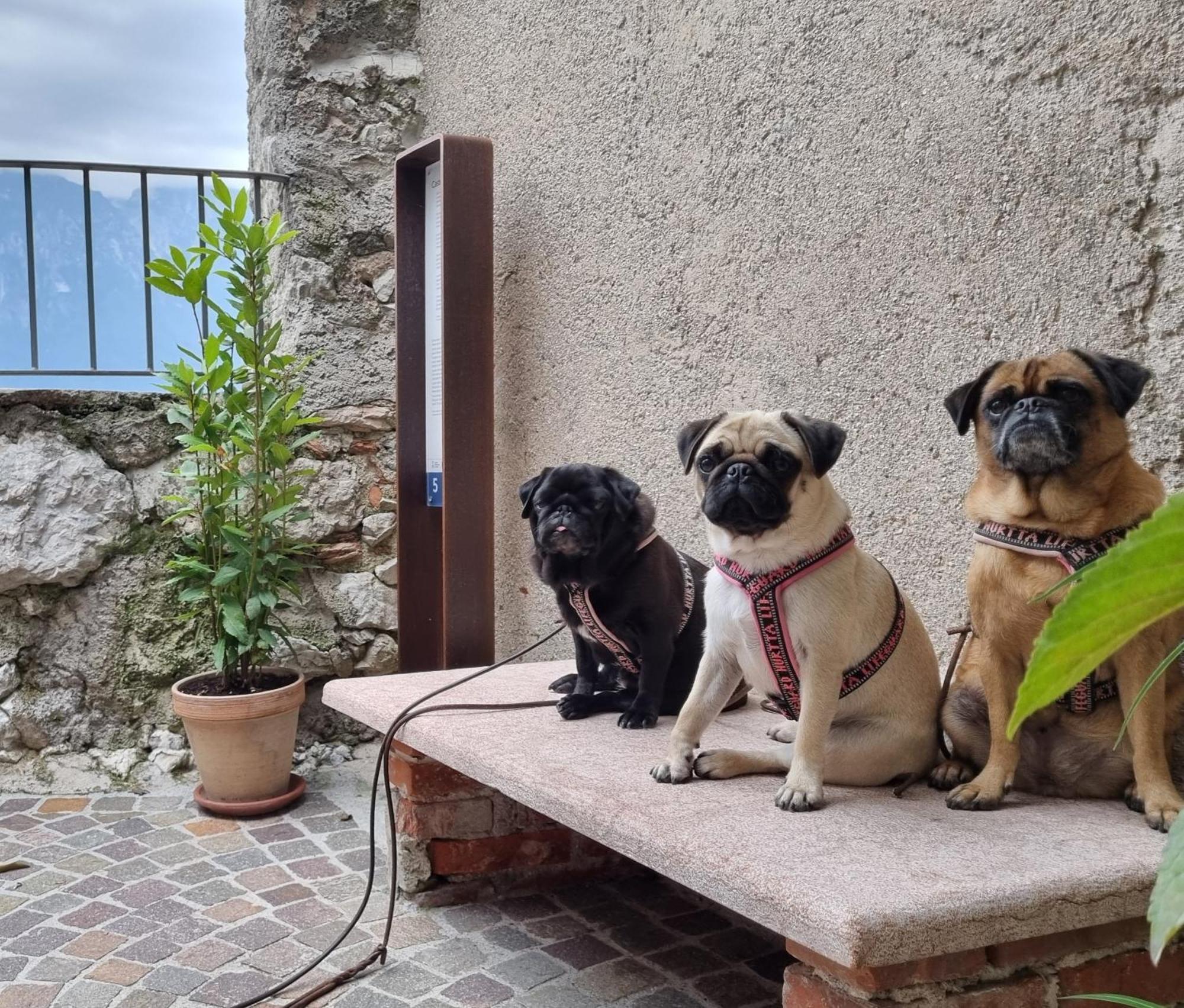 Locanda Al Castelletto トレモージネ エクステリア 写真